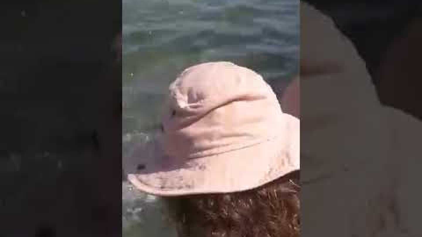 EviaZoom.gr - Χαλκίδα: Ξιφίας βγήκε στα ρηχά στη Πλαζ Αστέρια