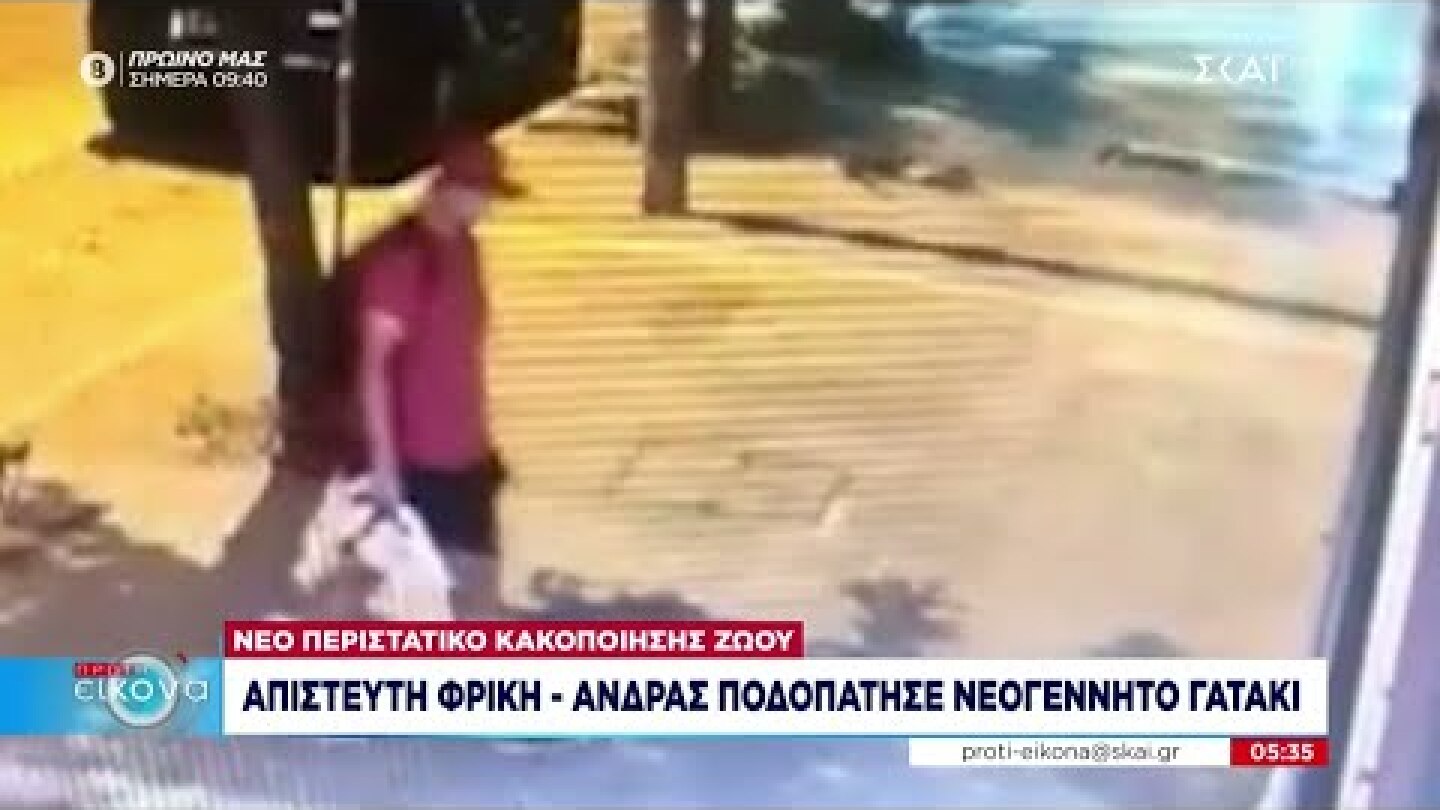 Απίστευτη φρίκη - Άντρας ποδοπάτησε νεογέννητο γατάκι | Πρώτη Εικόνα | 13/09/2022
