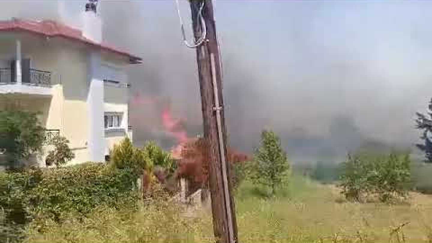 Thestival.gr Φωτιά στον Τρίλοφο Θεσσαλονίκης