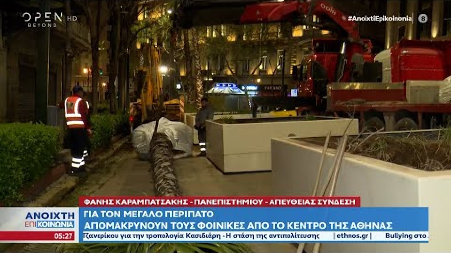 Απομακρύνουν τους φοίνικες από το κέντρο της Αθήνας για τον μεγάλο περίπατο | OPEN TV