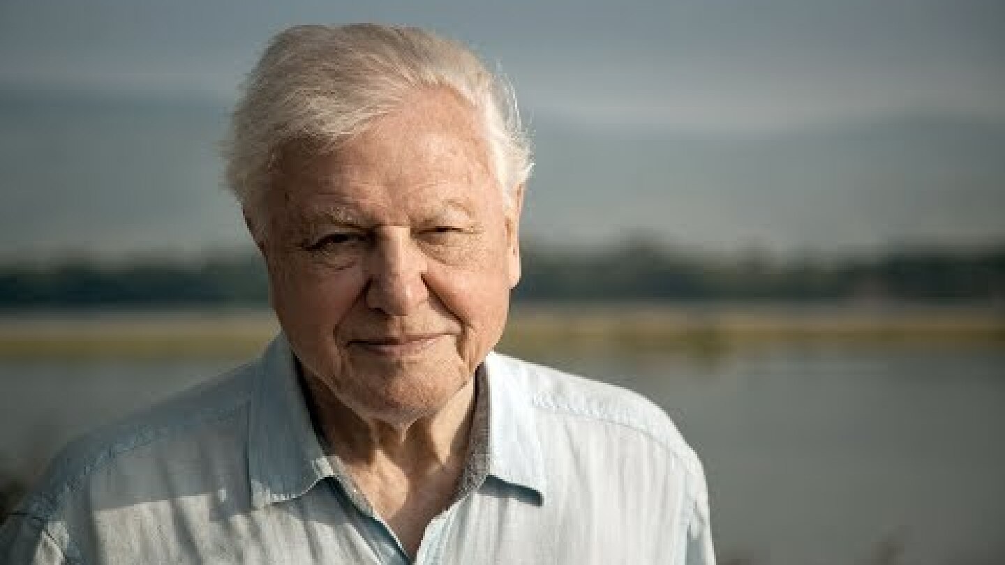 Sir David Attenborough addresses UN climate change summit – watch live