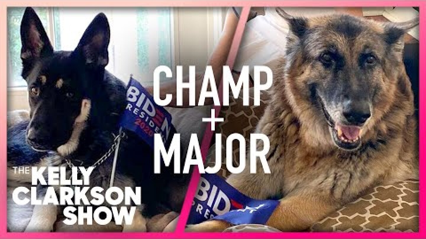 First Dogs Champ and Major Say Hello To Kelly