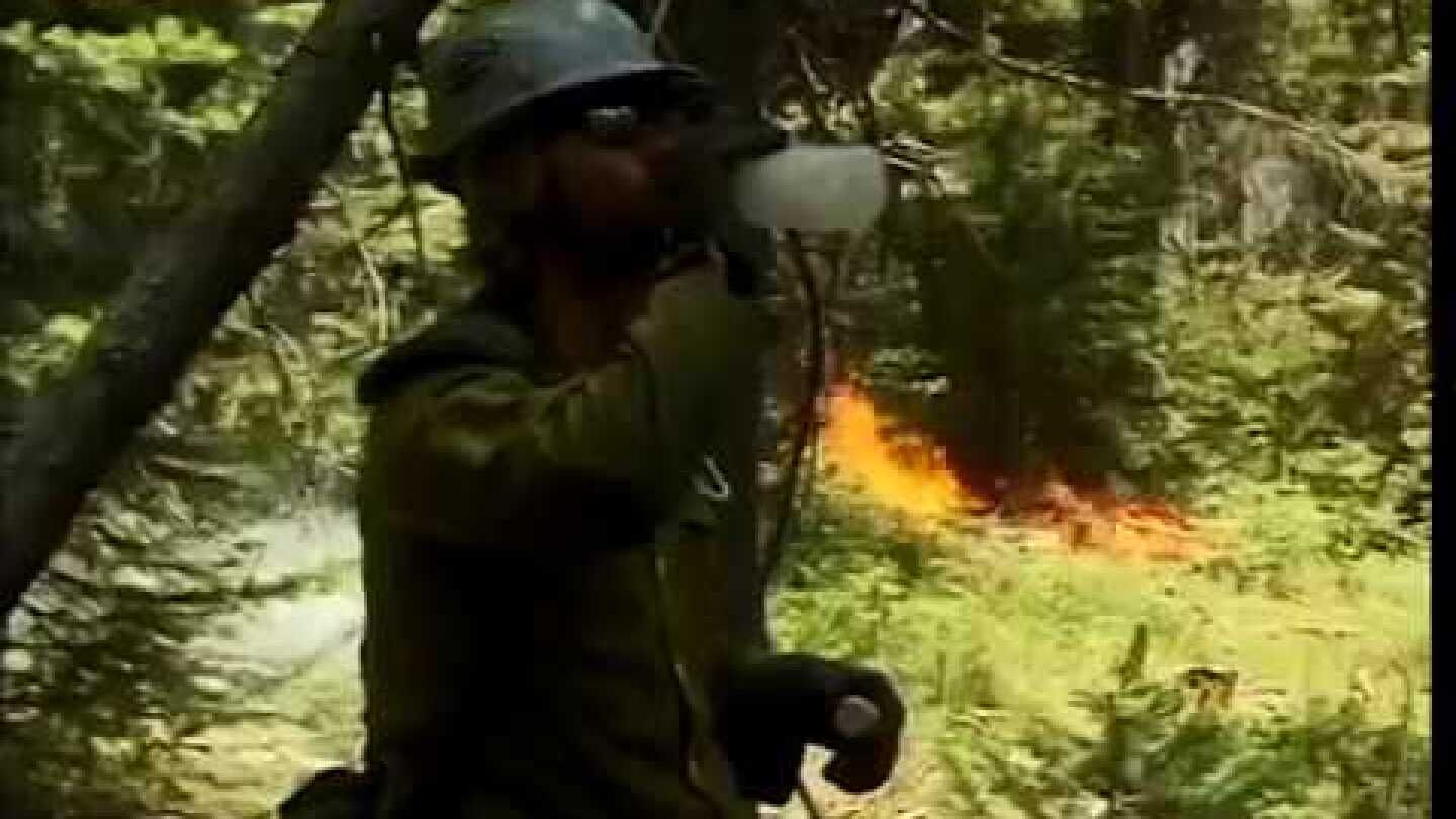 ΠΡΟΣΟΧΗ! Επικίνδυνη η συμβουλή Μητσοτάκη για βρεγμένα ρούχα στην Φωτιά!