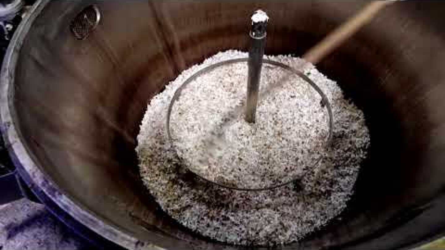 Jasmine harvest for Chanel No. 5’s centenary anniversary