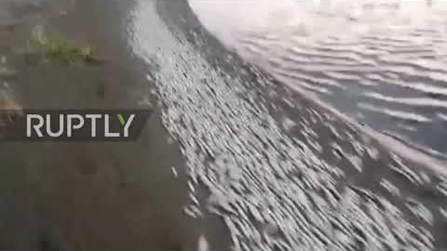 Turkey: Tons of dead fish wash ashore on banks of Asi River