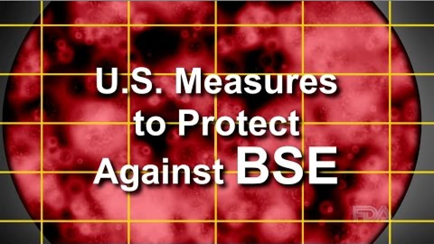 U.S. Measures to Protect Against BSE