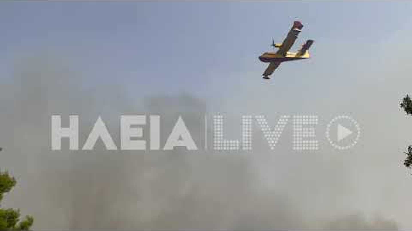 ilialive.gr - Ξανά στις φλόγες η Γορτυνία - Εικόνες καταστροφής