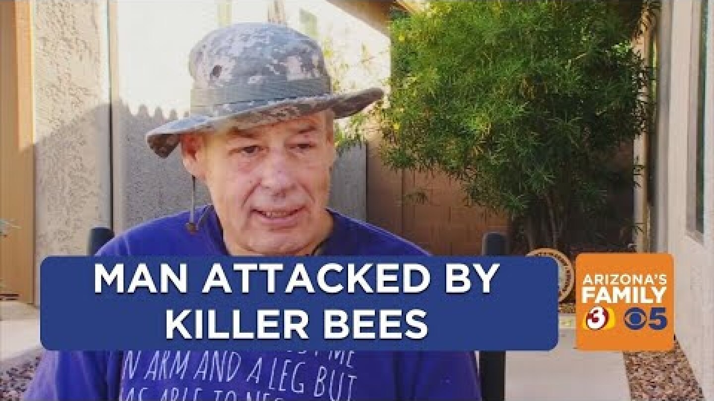 Florence man in wheelchair attacked by killer bees
