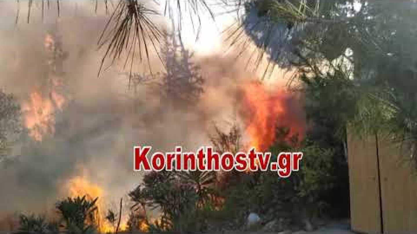 Μεγάλη φωτιά στα Ίσθμια - Απειλεί σπίτια