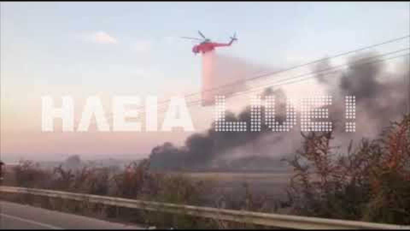 ilialive.gr - Πυρκαγιά στην Ε.Ο. Πατρών - Πύργου
