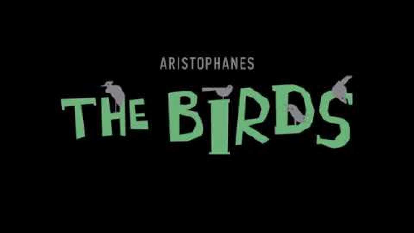 43 seconds of Aristophanes' "Birds" by Nikos Karathanos | From Epidaurus to SAW