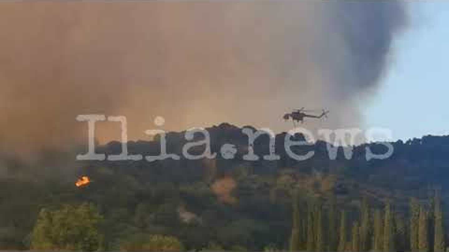 Η φωτιά έχει φτάσει στα πρώτα σπίτια της Δάφνης Ήλιδας…