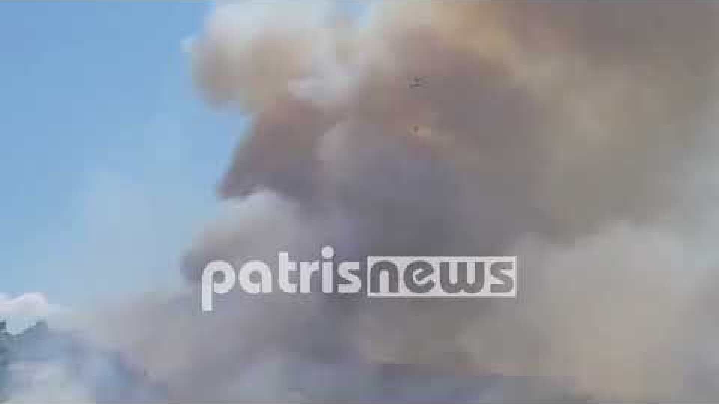 ΦΩΤΙΑ ΛΑΝΤΖΟΙ  ΑΜΟΝΤΑΡΙΣΤΑ