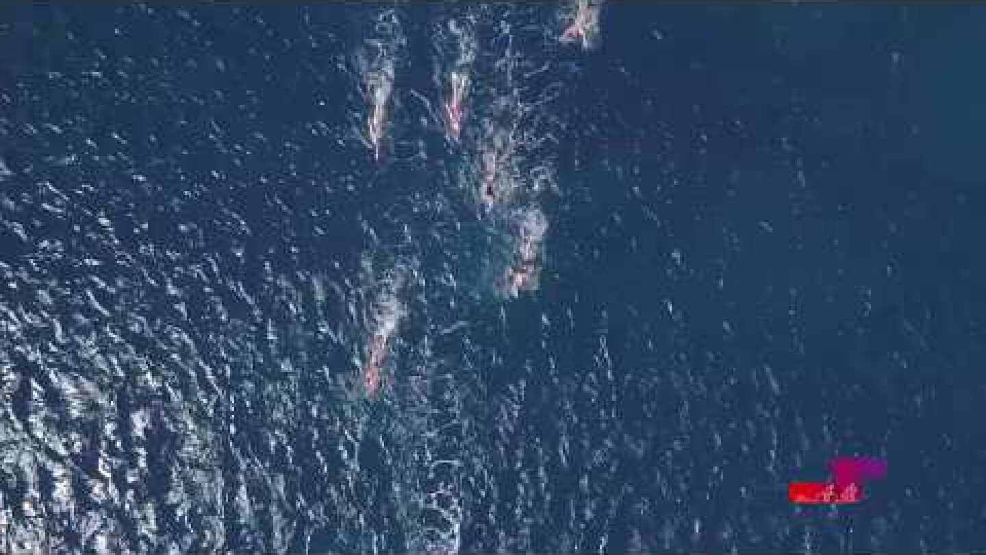 SYRATHLON 2019 - Κολύμπι, ποδήλατο και τρέξιμο στη Σύρο