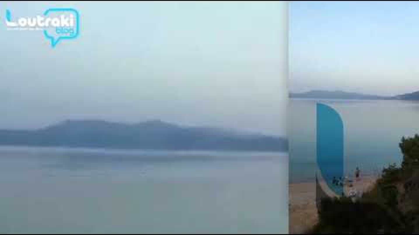 Λουτράκι: Δελφίνια “βολτάρουν” στον Κόλπο των Αλκυονίδων