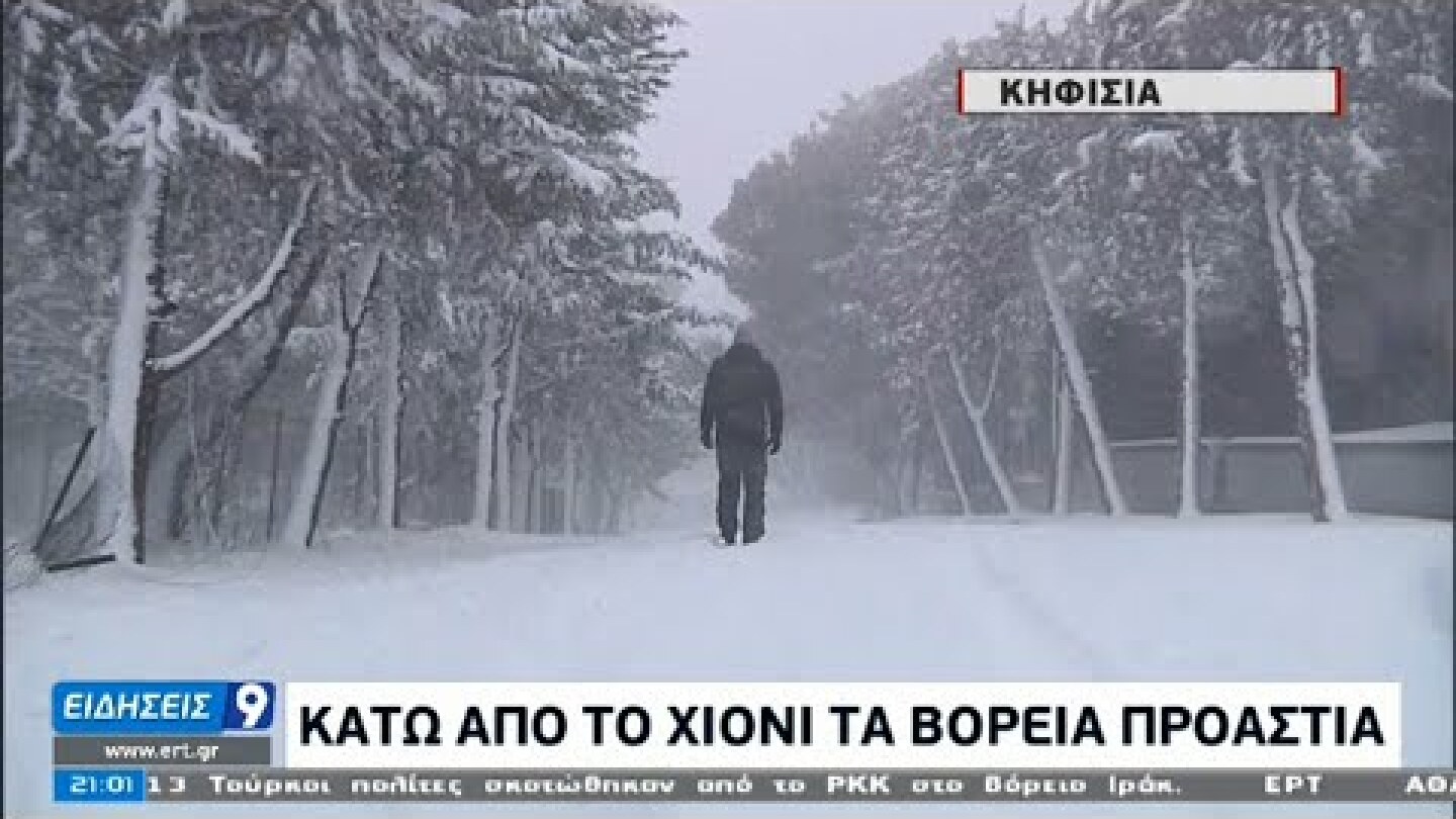 Συνεχίζει την επέλασή της η «Μήδεια»  ΕΡΤ 15/02/2021