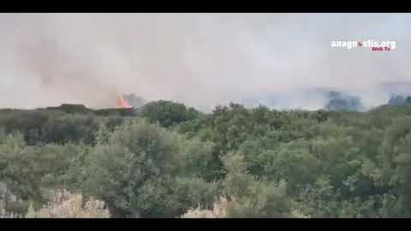 Φωτιά στο Αραχναίο 25 07 2021