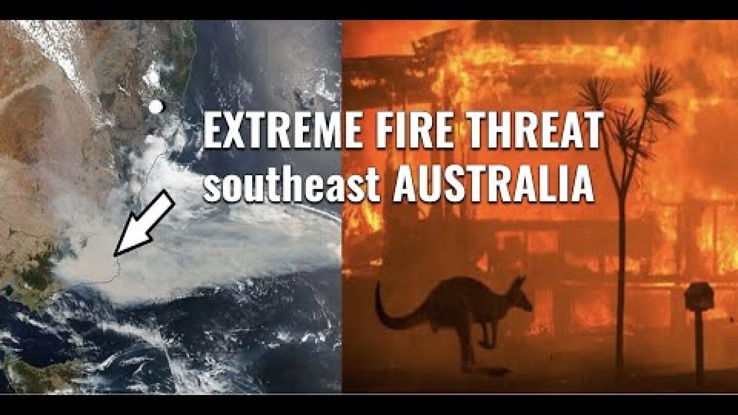Kangaroos Flee Devastating Fires in Australia