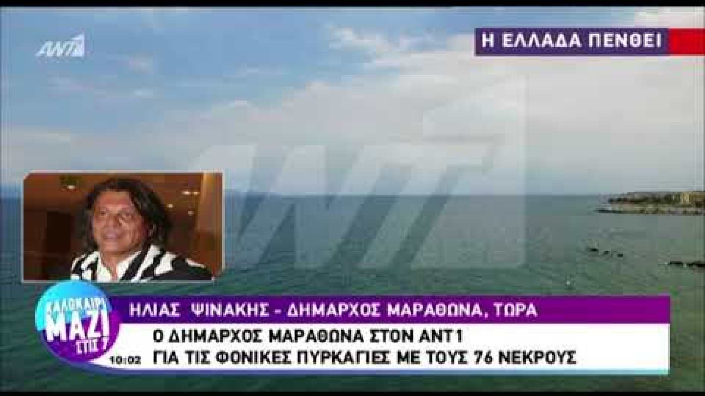 Ο Ηλίας Ψινάκης για τις φωτιές