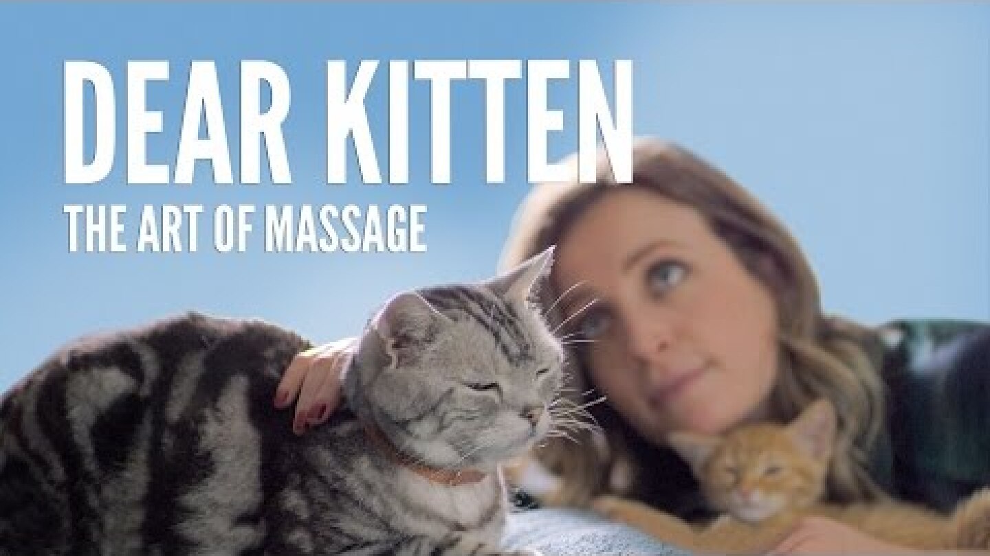 Dear Kitten: The Art Of Massage