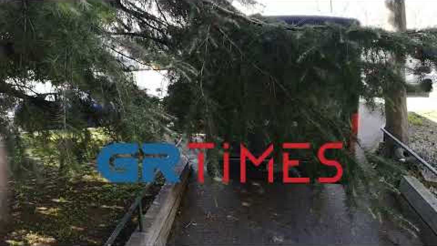 Στα δικαστήρια δύο συλληφθέντες για τη δολοφονία Άλκη