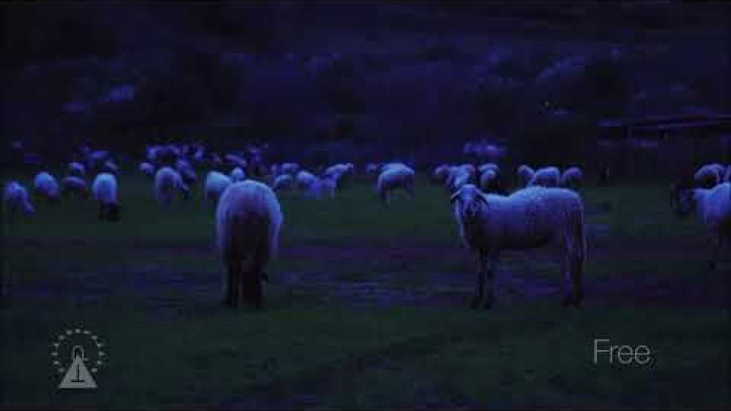 Playground Theory - Free