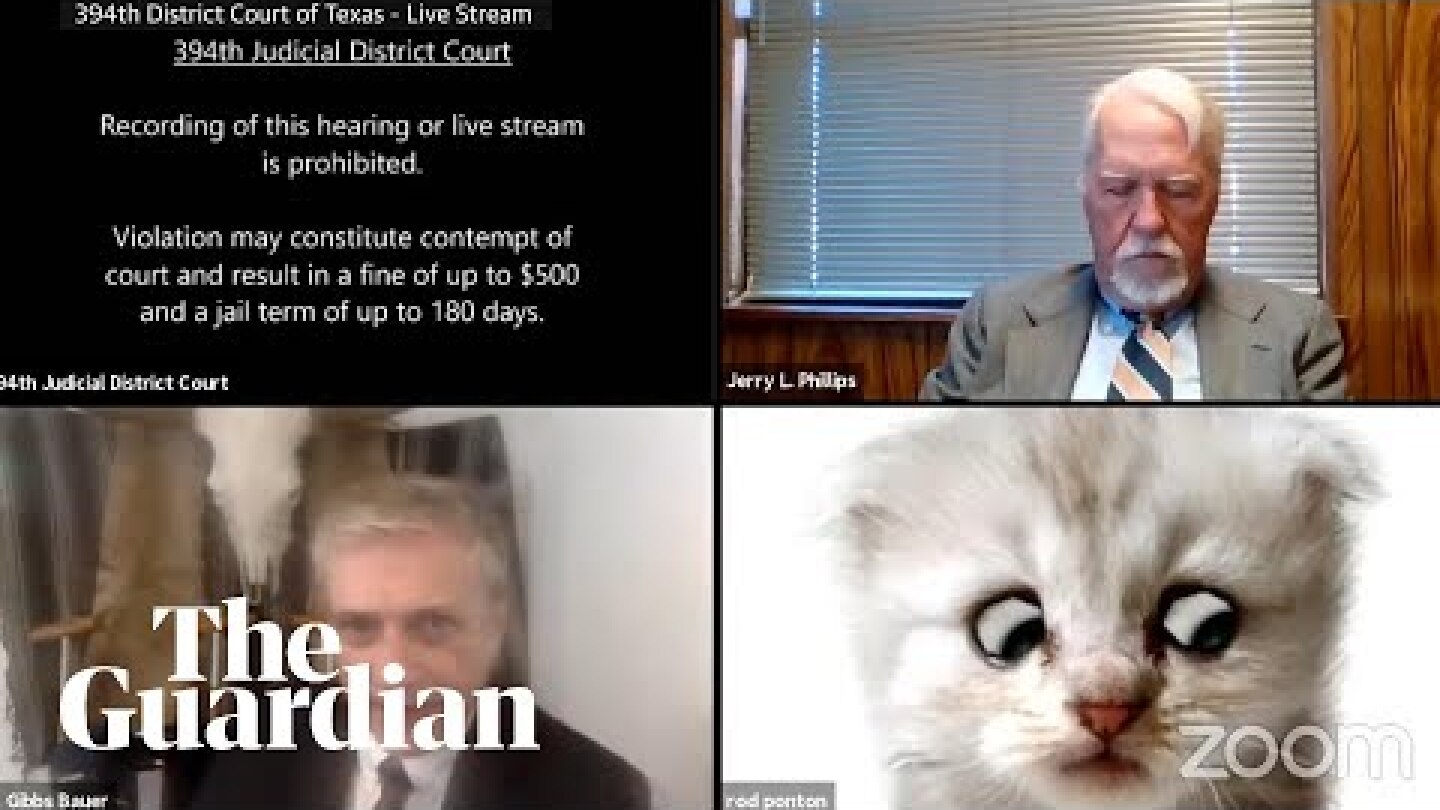 'I’m not a cat': lawyer gets stuck on Zoom kitten filter during court case