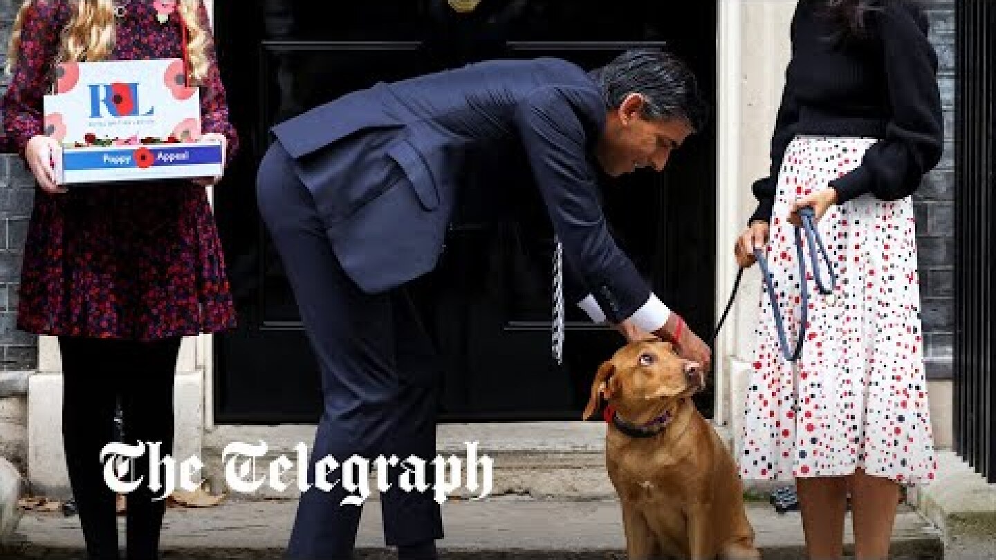 Prime Minister Rishi Sunak awkwardly buys poppies for wife and dog outside No.10