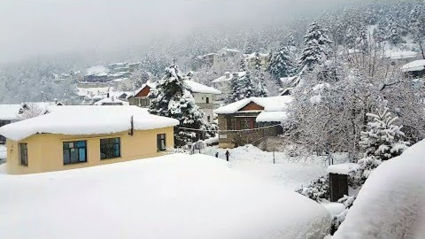 ΕΛΑΤΗ  ΤΡΙΚΑΛΩΝ FHD  -  GREECE- ELATI  - ΦΑΝΤΑΣΤΙΚΕΣ ΕΙΚΟΝΕΣ Η ΕΛΑΤΗ  ΠΝΙΓΜΕΝΗ ΣΤΑ  ΧΙΟΝΙΑ
