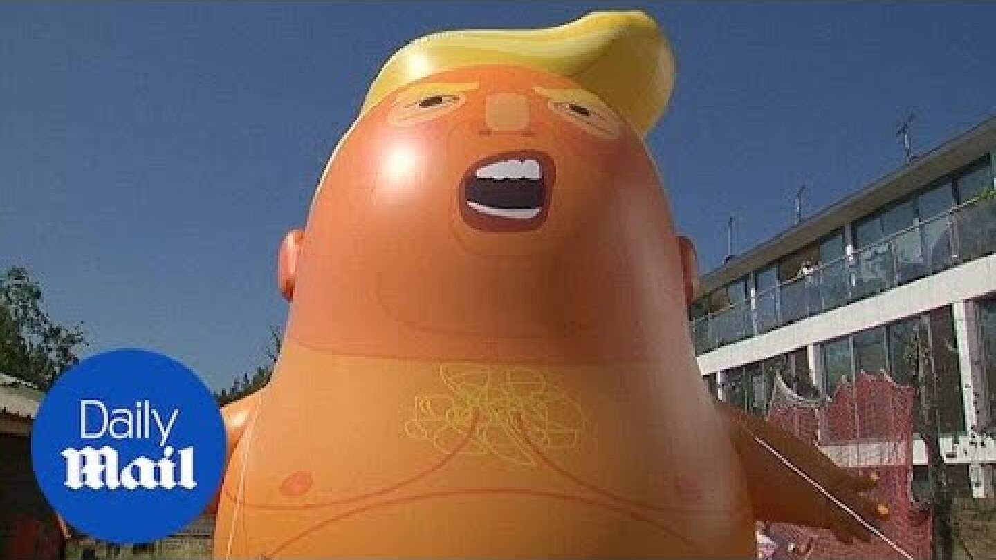 Protesters inflate Donald Trump baby blimp ahead of his UK visit