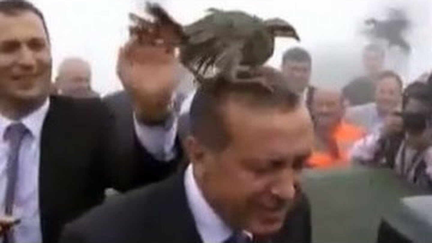 На открытии мечети Эрдогана атаковала птица