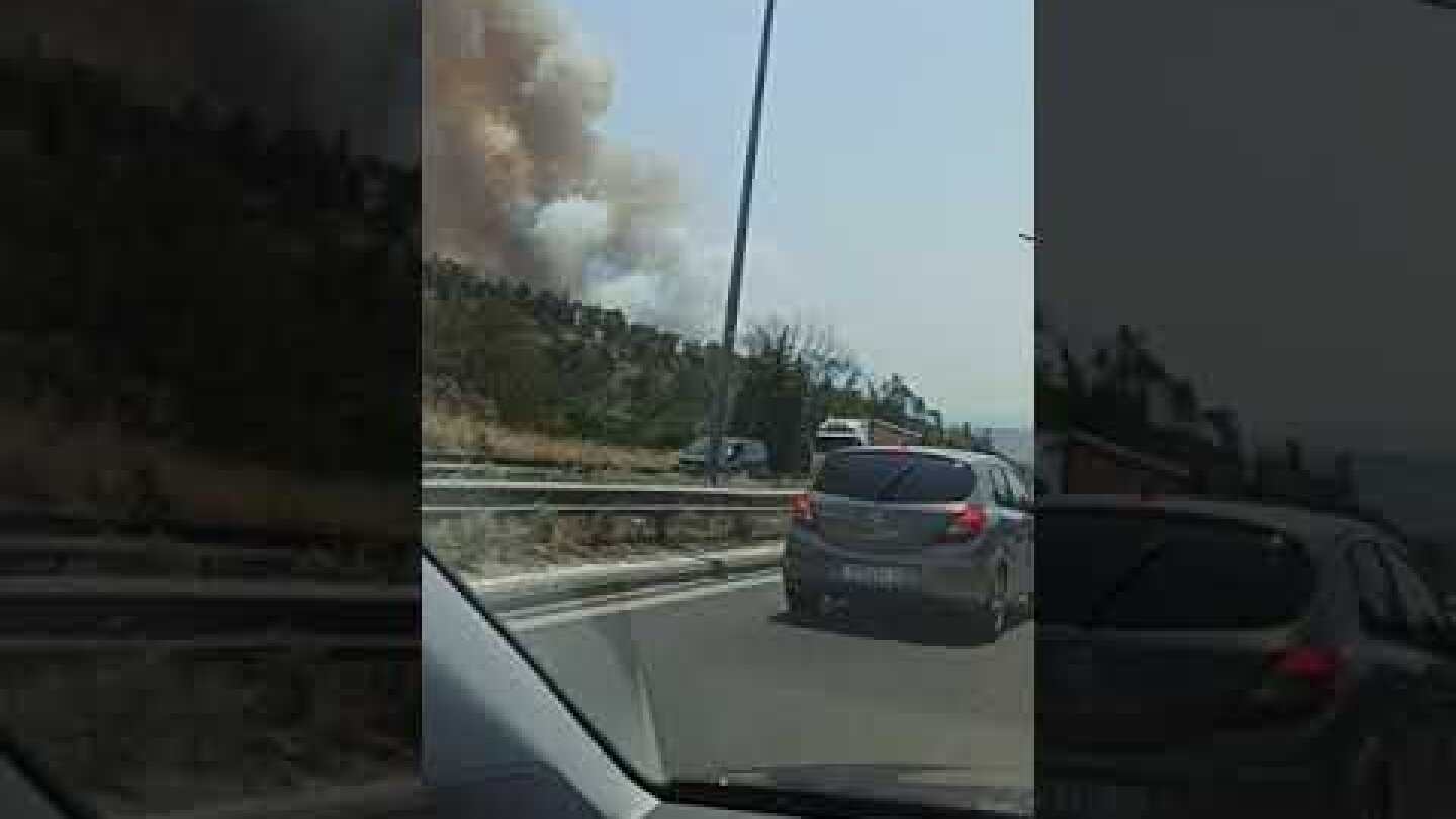 Thestival.gr φωτιά κοντά στον Ζωολογικό Κήπο της Θεσσαλονίκης