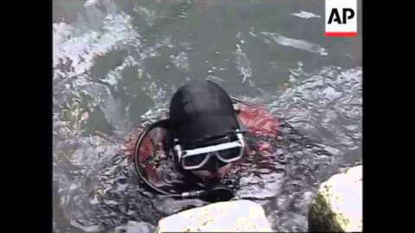 ITALY: CLEAN UP OF VENICE