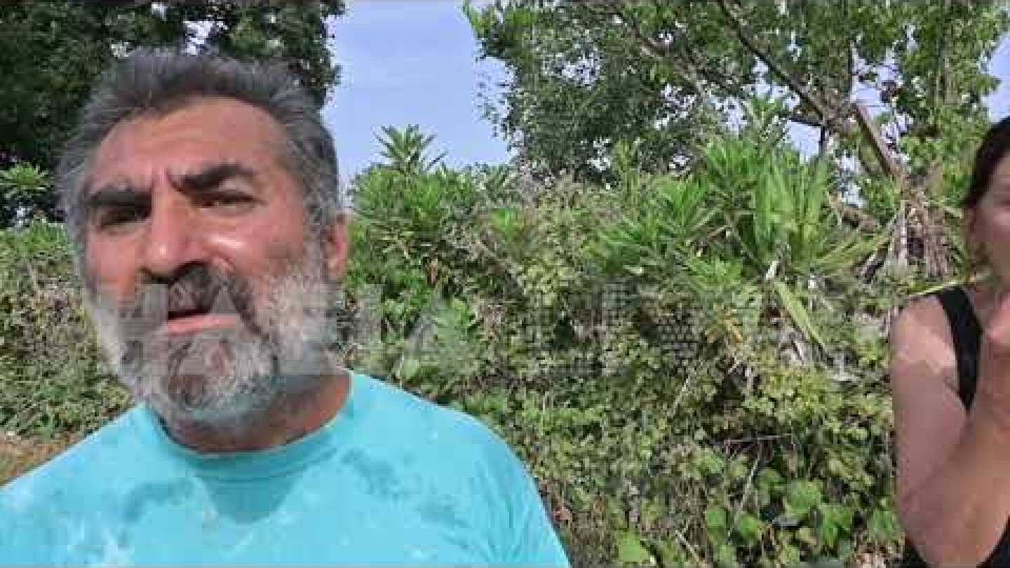 ilialive.gr - Βεντέτα στη Μυρτιά; - Έκαψαν το λυόμενο που έμενε ο δολοφόνος