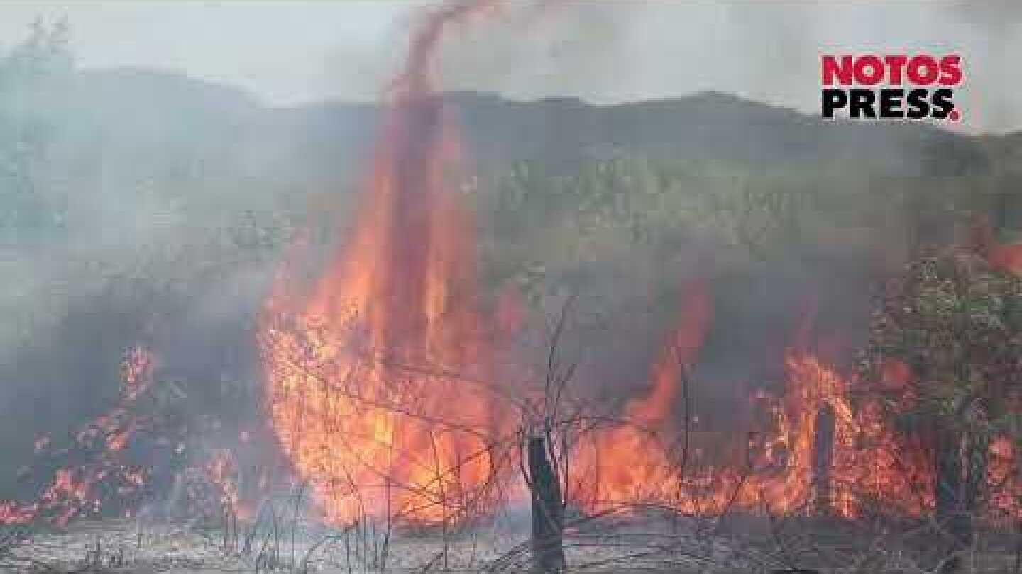 Πυρκαγιά στη Σπάρτη, στις όχθες του Ευρώτα