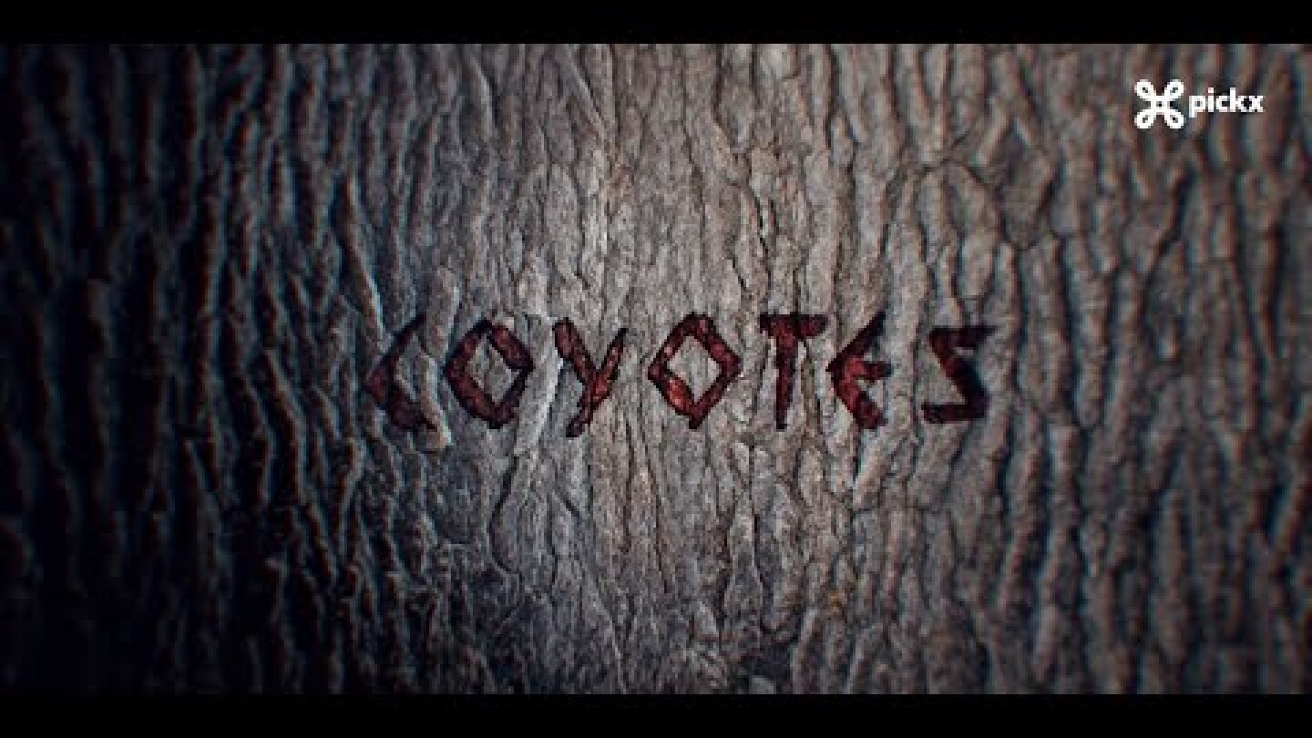 Coyotes: la nouvelle série belge maintenant sur Proximus Pickx