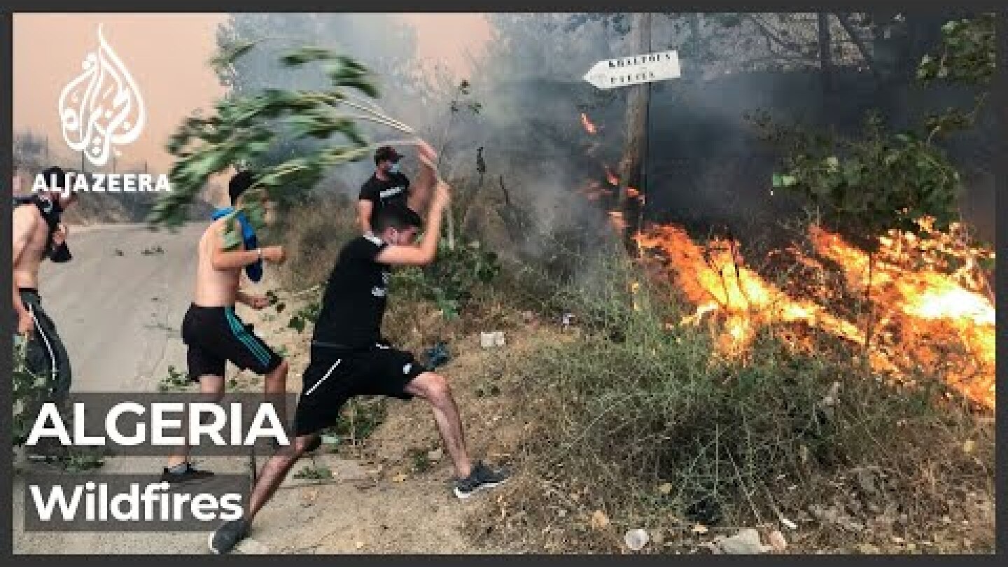 Algeria wildfire death toll rises as 25 soldiers killed
