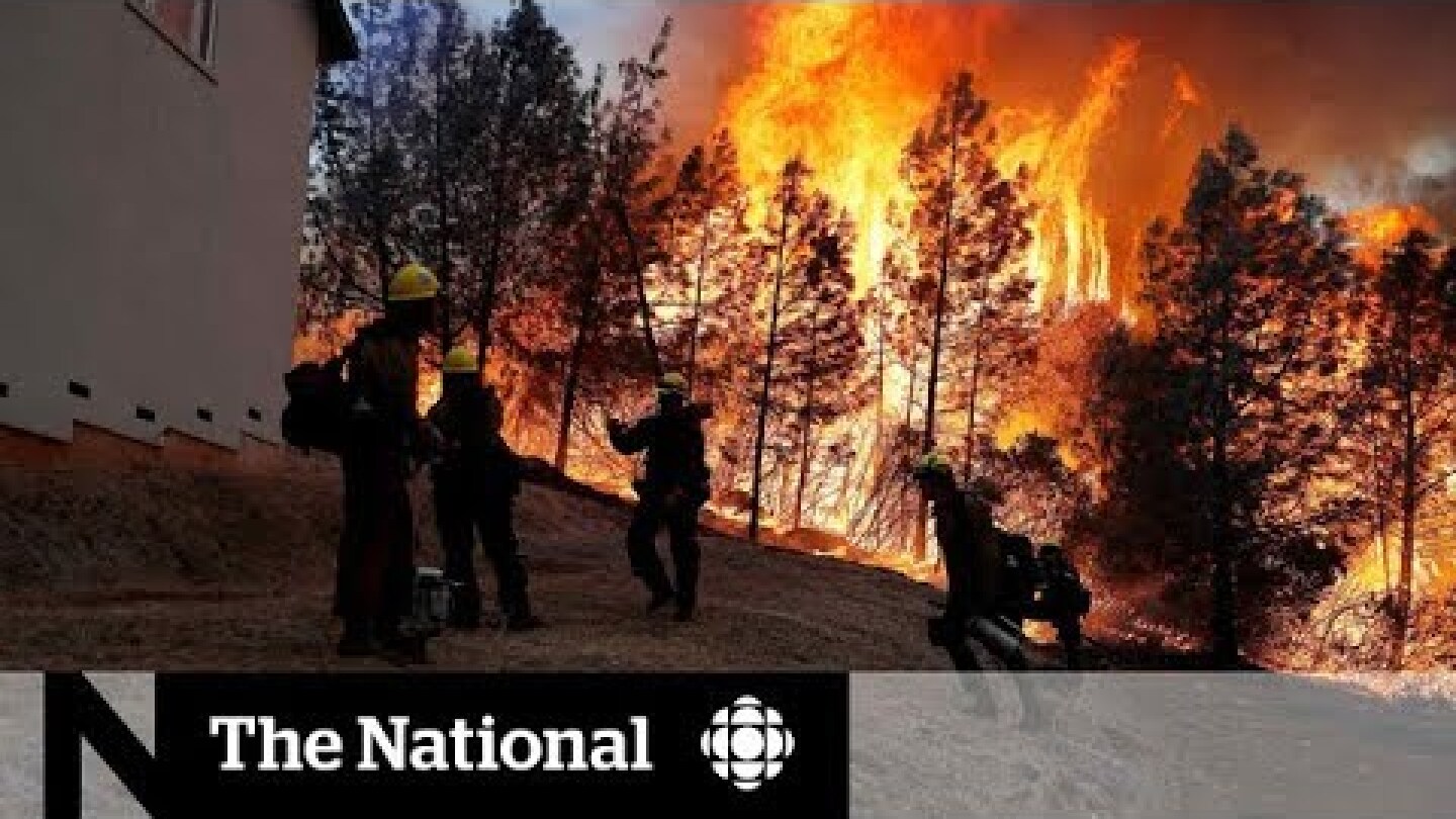 Wildfires tear through California leaving multiple people dead