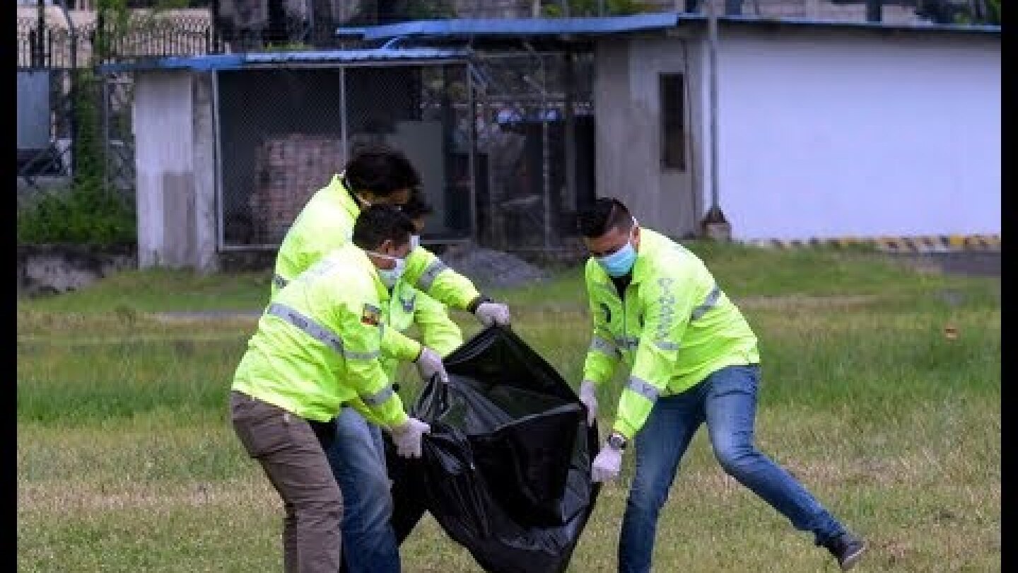 Fiscalía investiga caso polizones en tren de aterrizaje de avión