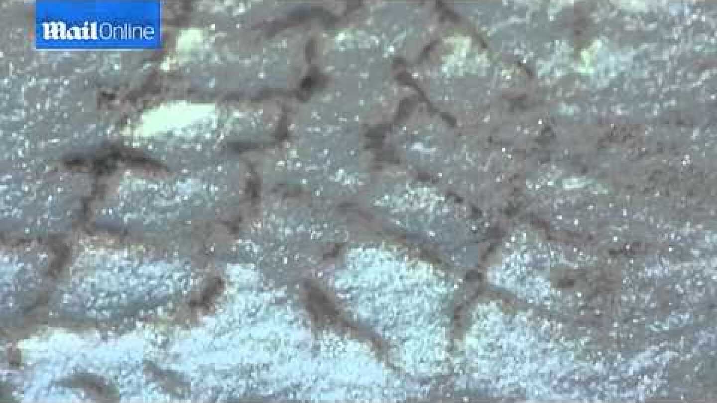 Take a look at the bizarre blue snow...