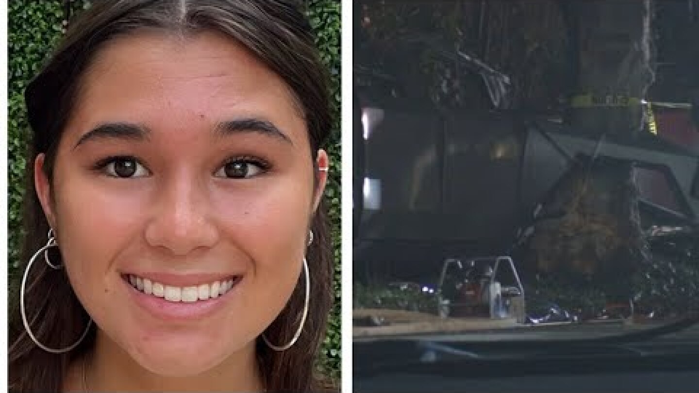 Family of deadly Cybertruck crash victim sues Tesla claiming car's design didn't allow her to escape