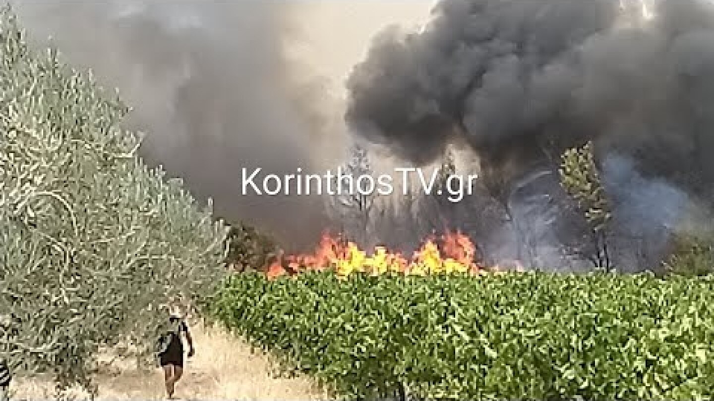 KorinthosTV.gr: Μεγάλη φωτιά σε δασική περιοχή ανάμεσα σε Σπαθοβούνι και Καλέντζι Κορινθίας