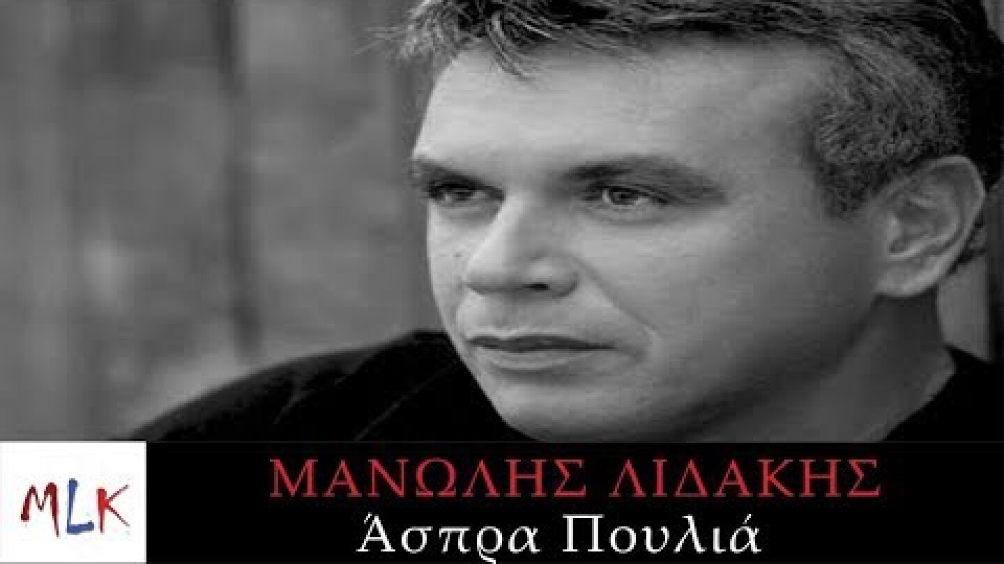 Μανώλης Λιδάκης - Άσπρα Πουλιά | Manolis Lidakis - Aspra Poulia (Official Audio Video)