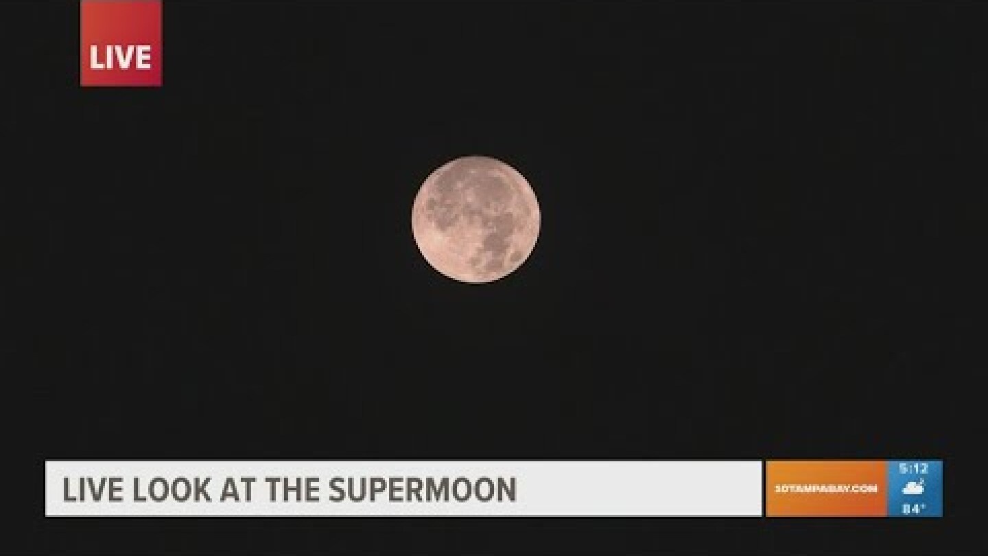 The 'buck' moon: A look at the biggest supermoon of the year