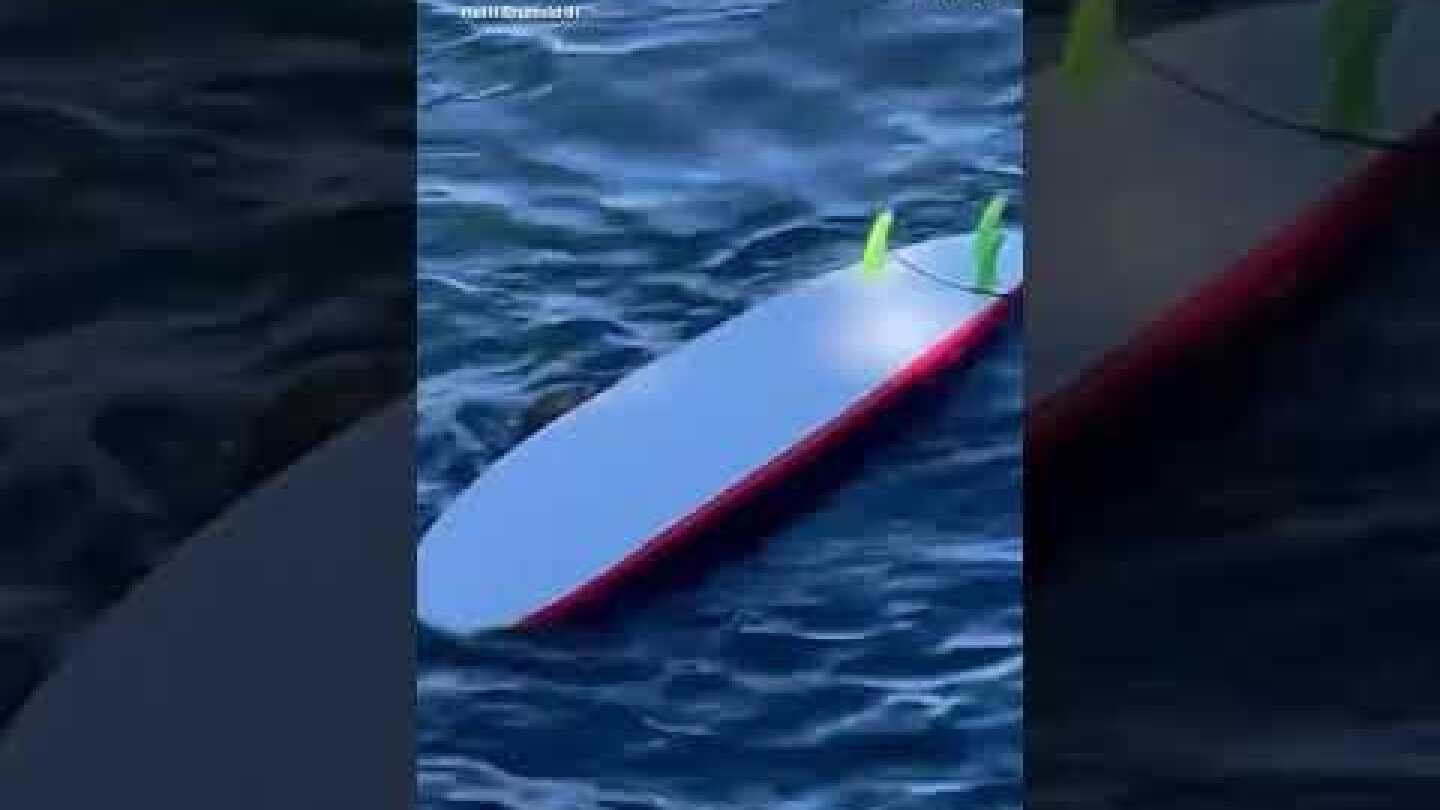 Sea otter steals surfboard away from Santa Cruz surfer | ABC News