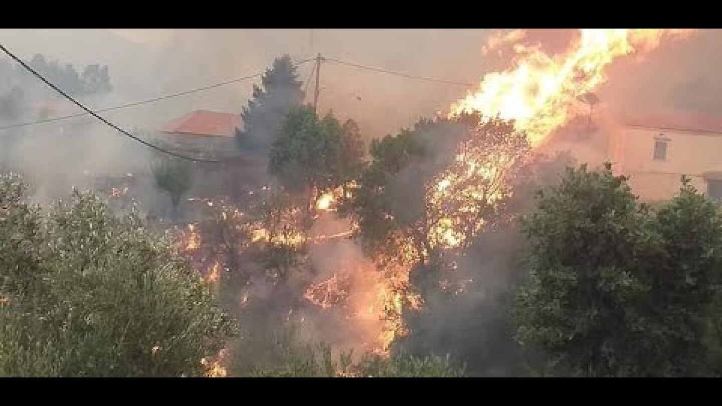 ΤΟ ΧΡΟΝΙΚΟ ΤΗΣ ΦΩΤΙΑΣ ΣΤΗ ΜΑΝΗ ΟΠΩΣ ΤΟ ΖΗΣΑΜΕ