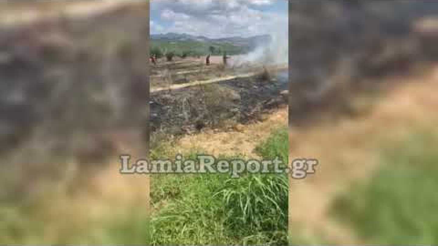 LamiaReport.gr: Πυρκαγιά σε ξερά χόρτα στη Μάκρη Φθιώτιδας