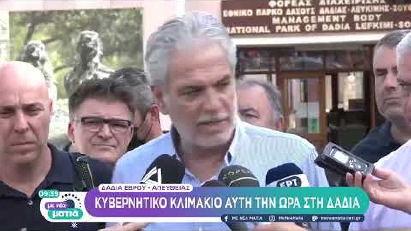 Δηλώσεις του Υπουργού Πολιτικής Προστασίας για τη φωτιά στη Δαδιά | 24/07/2022 | ΕΡΤ