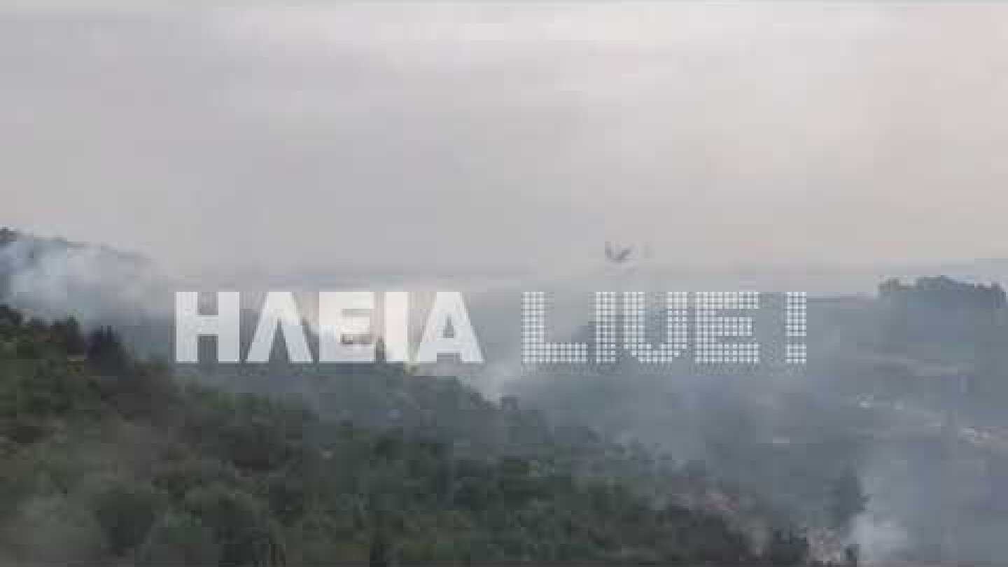 ilialive.gr - Ρίψεις από τα Canadair