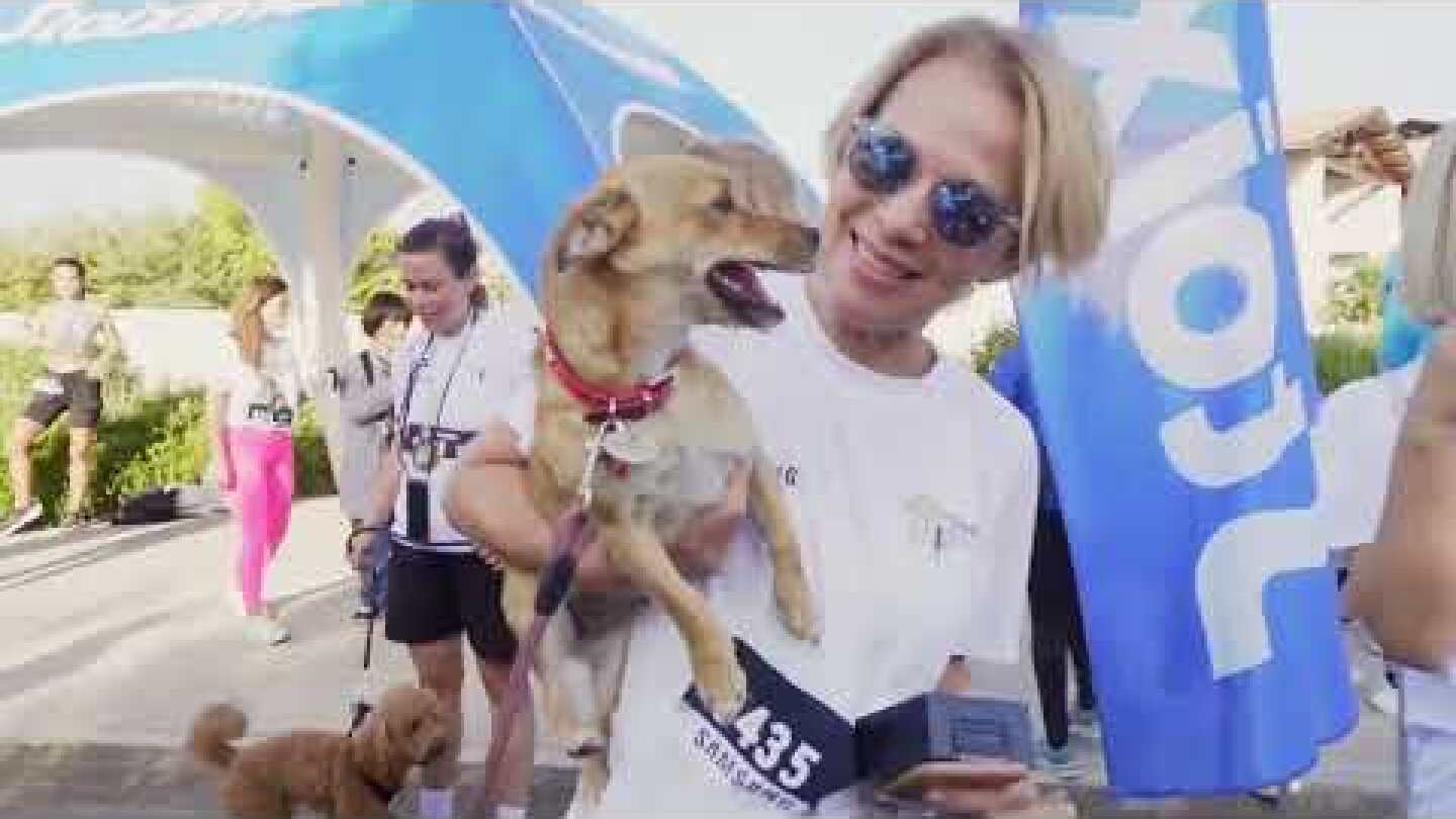 Navarino Challenge 2023 - Teaser Video